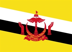 [ai] The national flag of Brunei, featuring a yellow field with a central black and white diagonal stripe, and a red emblem including a crescent, a bird, and two raised hands, with Arabic text below.