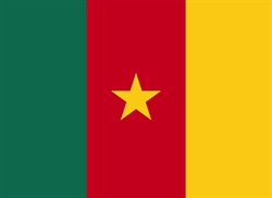 [ai] The flag of Cameroon features three vertical stripes: green on the left, red in the middle with a yellow star, and yellow on the right.