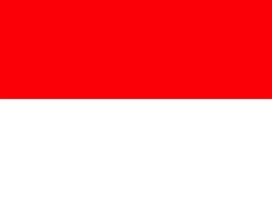 [ai] The national flag of Indonesia, featuring two horizontal bands with red on the top half and white on the bottom half.